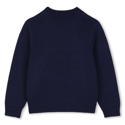 Sweater BILLIEBLUSH boy