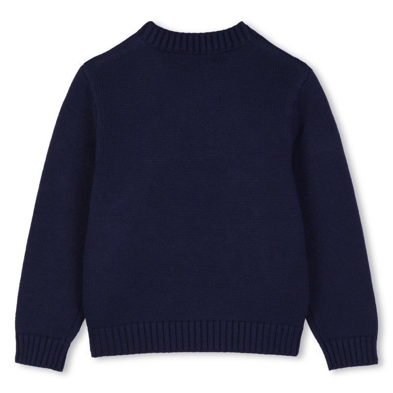 Sweater BILLIEBLUSH 
                        boy