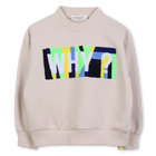 Fleece sweatshirt BILLIEBLUSH 
                    boy
