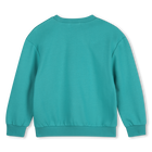Sweatshirt BILLIEBLUSH 
                    boy